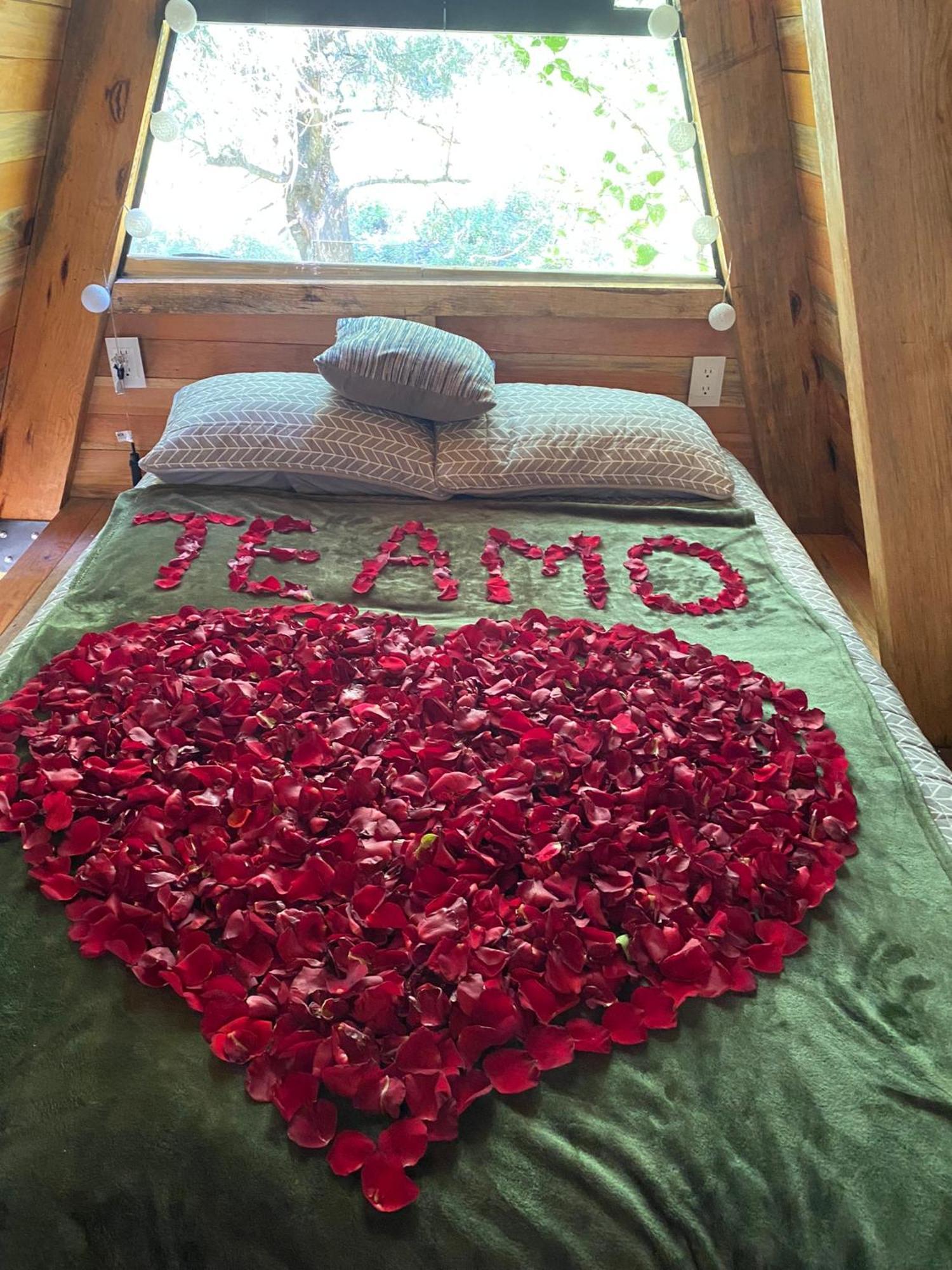 Cabanas Alpina, Romantica Y Acogedora A 10 Minutos Del Centro Tepoztlan Exterior photo