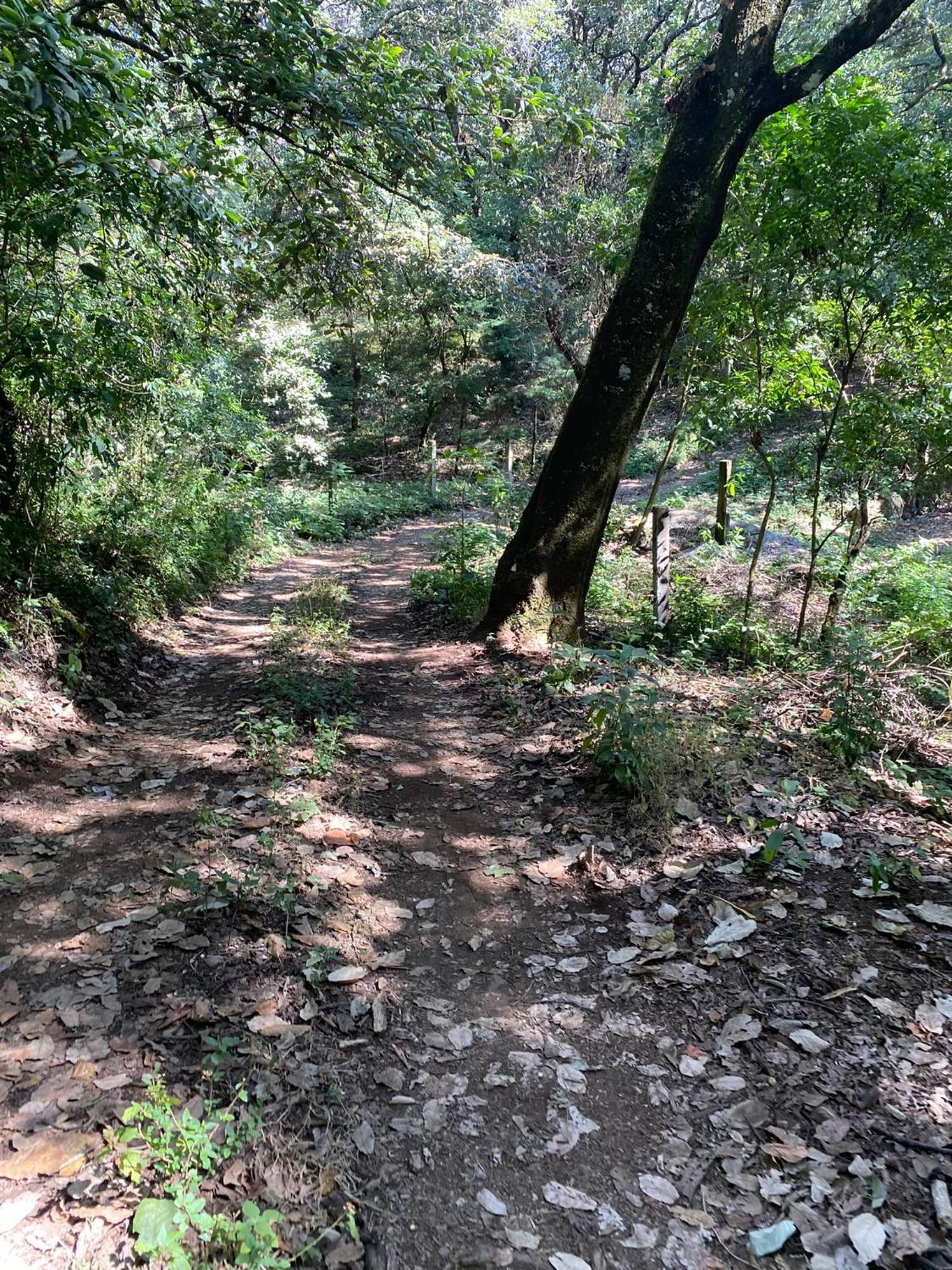 Cabanas Alpina, Romantica Y Acogedora A 10 Minutos Del Centro Tepoztlan Exterior photo